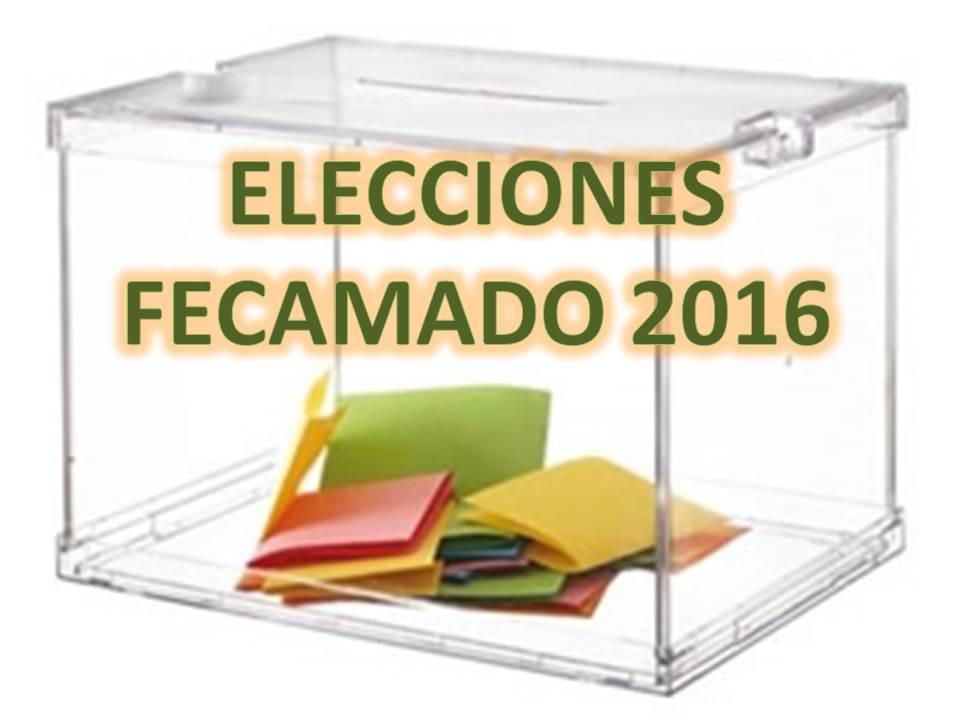 Elecciones Federación Orientación 2016